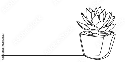 Continuous line drawing of a succulent plant in a square pot against a white background Vector, illustration
