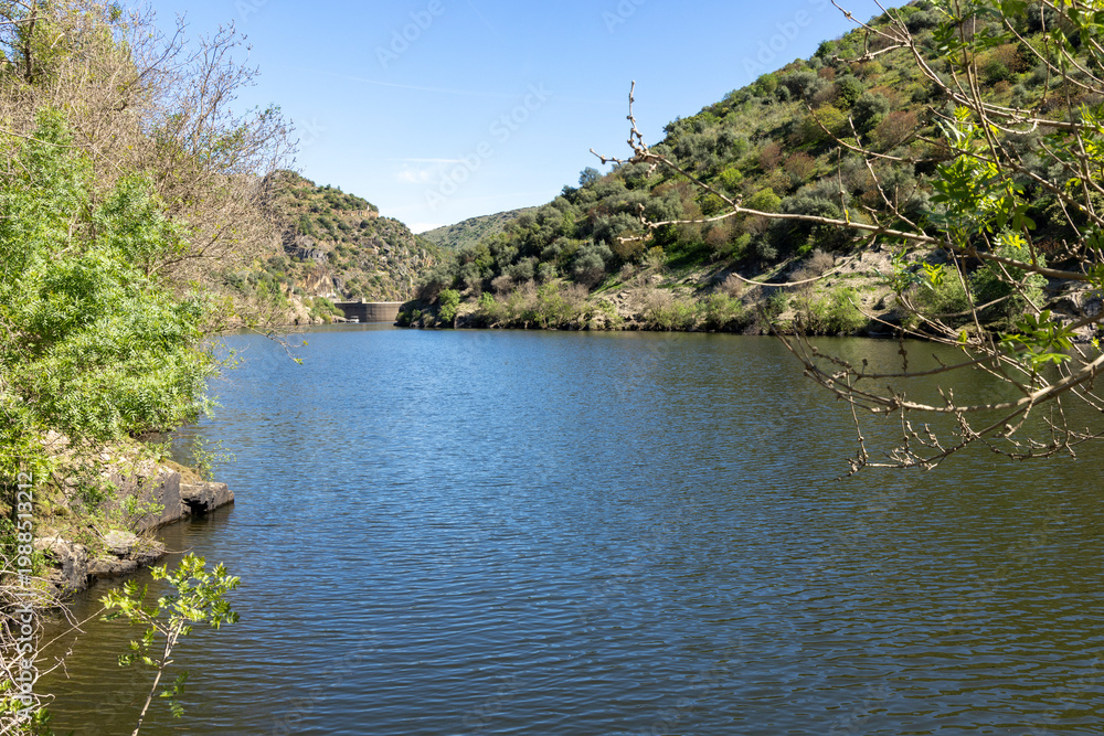 Fototapeta premium Dam creating reservoir in green valley landscape