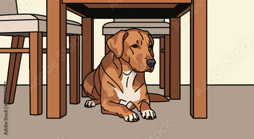 A brown dog with a white chest rests quietly underneath a wooden dining table