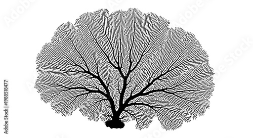 A minimalist black and white illustration of a tree with a sprawling canopy