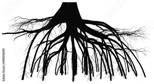 A black silhouette of tree roots on a white background, representing nature and growth in a minimalist design.