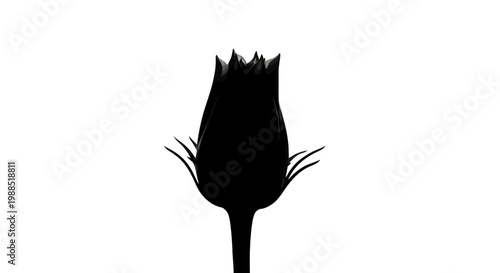 A minimalist black silhouette of a tulip flower on a white background