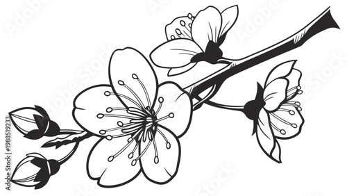 Delicate blossoming branch with elegant flowers and buds, symbolizing spring and new beginnings.