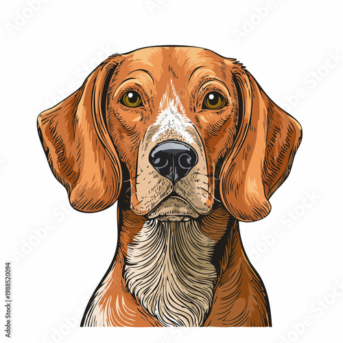 An illustration of a dog's face with brown fur and floppy ears