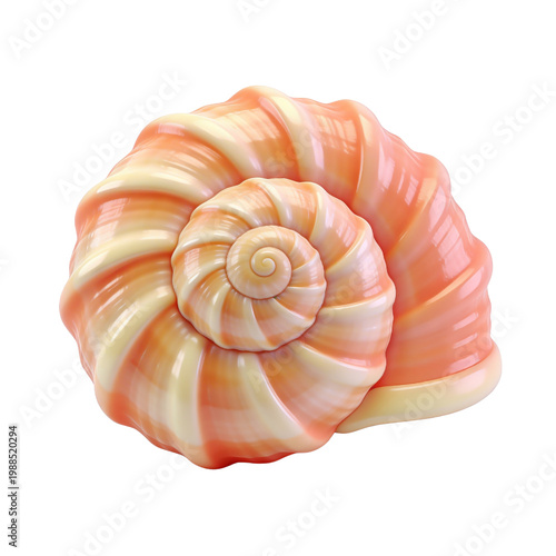 Sea Shell 3D Cartoon Ocean Beach Summer Tropical Icon