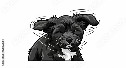 A black, fluffy dog with its eyes closed and ears flapping is shaking its head energetically