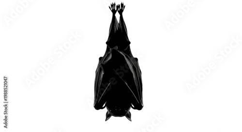 A minimalist black bat silhouette hanging upside down on a white background