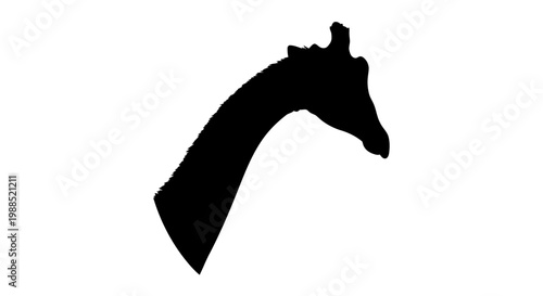 A black silhouette of a giraffe's head and neck on a white background