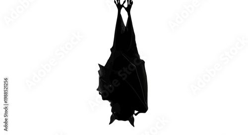 A black silhouette of a bat hanging upside down from a branch