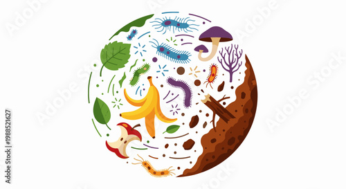 Diverse organic materials and microorganisms in a circular composition