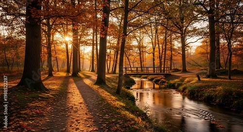 Autumn forest path by serene stream.