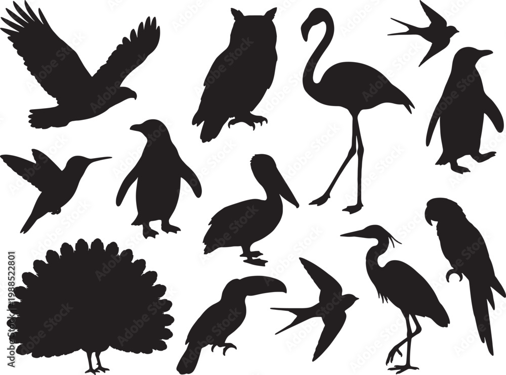 Fototapeta premium Collection of diverse bird silhouettes including an eagle flamingo owl pelican and parrot