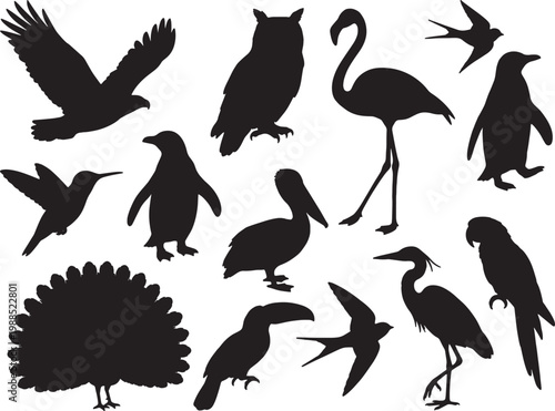 Collection of diverse bird silhouettes including an eagle flamingo owl pelican and parrot
