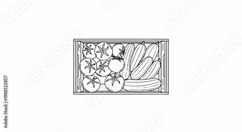 Overhead view of a wooden crate filled with fresh tomatoes and cucumbers