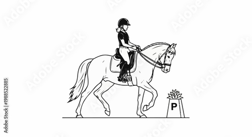 Rider on horseback at the letter 'P' marker in an arena