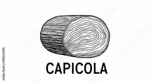 Black and white illustration of a wood slice with visible rings, labeled CAPICOLA