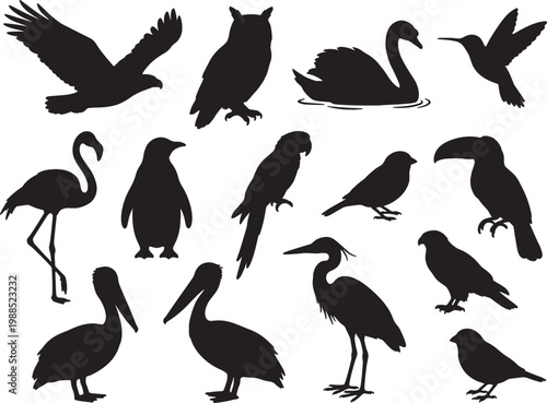 Collection of Diverse Bird Silhouettes Isolated on a White Background