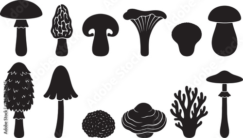 Collection of diverse black mushroom silhouettes against a clean white background for design purposes