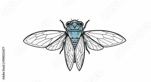 Detailed illustration of a cicada insect with blue body and translucent wings