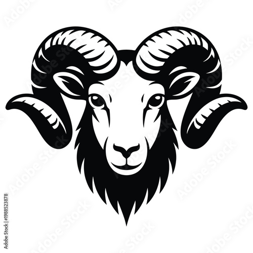vector illustration of a sheep