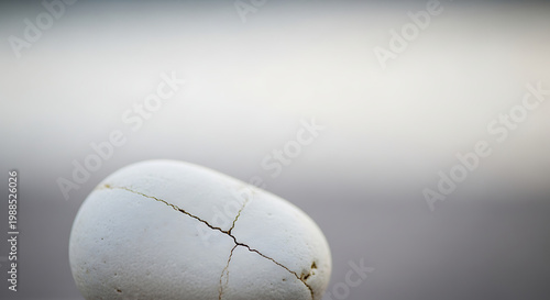 Cracked White Eggshell