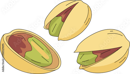 Cartoon Pistachio Nuts Set Showing Whole and Open Cracked Shell with Green Kernel Healthy Snack Food Vector Illustration