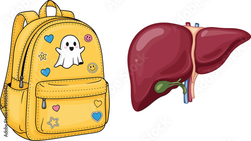 Cute Yellow School Backpack with Ghost and Heart Stickers and Realistic Human Liver Anatomy Medical Vector Illustration Set