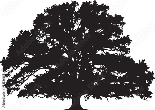 Large oak tree silhouette with spreading branches, old majestic tree isolated on white background vector illustration.