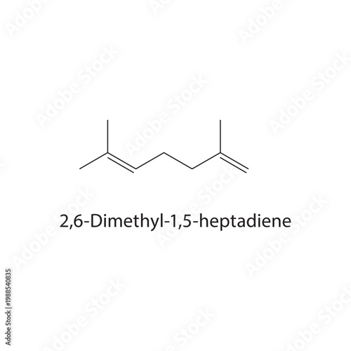 2,6-Dimethyl-1,5-heptadiene skeletal structure. diene compound schematic illustration. Simple diagram, chemical formula.