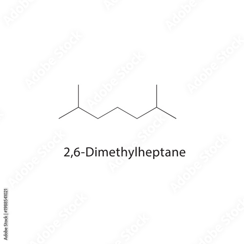 2,6-Dimethylheptane skeletal structure. alkane compound schematic illustration. Simple diagram, chemical formula.
