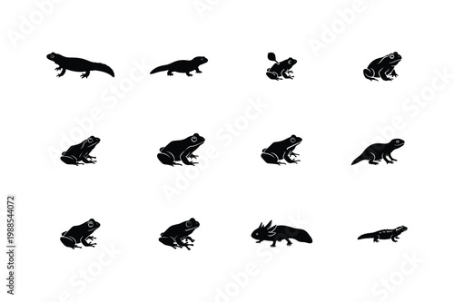 Amphibians and Reptiles Silhouette Vector Set Frog Salamander Lizard Icons Minimal Black Animal Collection