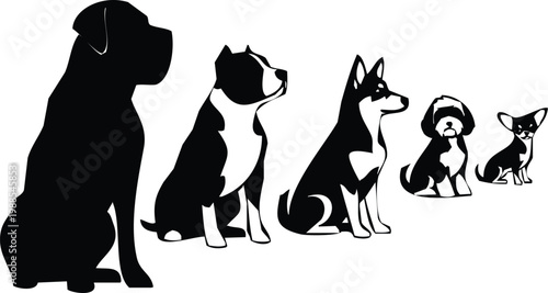 A silhouette illustration depicts five different dog breeds ranging in size from large to tiny sitting in a row high quality