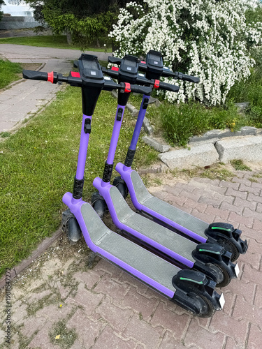 Four purple scooters are parked on the ground next to a grassy area and a walkway. The scene shows part of a flowering bush in the background
