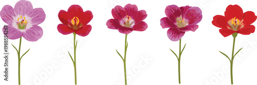 Colorful Hand Drawn Peony Flower Set Vector Illustration for Floral Design