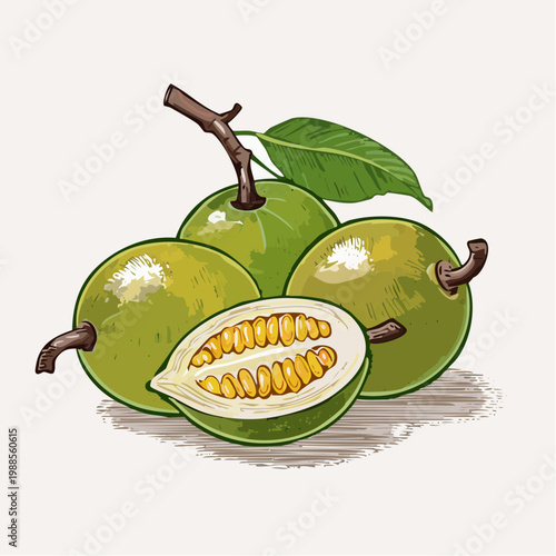 Green guavas with leaves and cut one showing pulp on plate