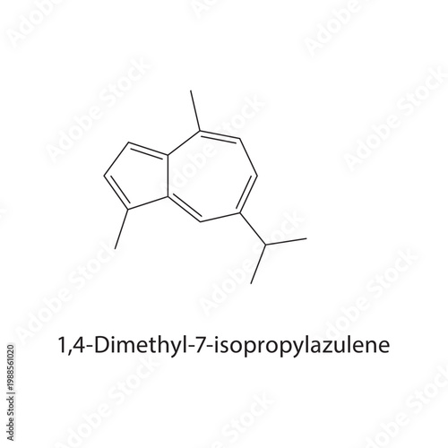 1,4-Dimethyl-7-isopropylazulene skeletal structure. aromatic compound schematic illustration. Simple diagram, chemical formula.