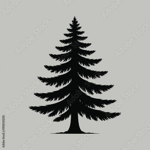 Silhouette of a coniferous tree against a neutral gray background