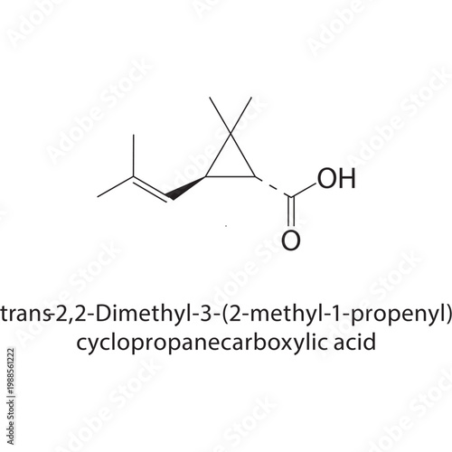 trans-2,2-Dimethyl-3-(2-methyl-1-propenyl)cyclopropanecarboxylic acid skeletal structure. carboxylic acid compound schematic illustration. Simple diagram, chemical formula.
