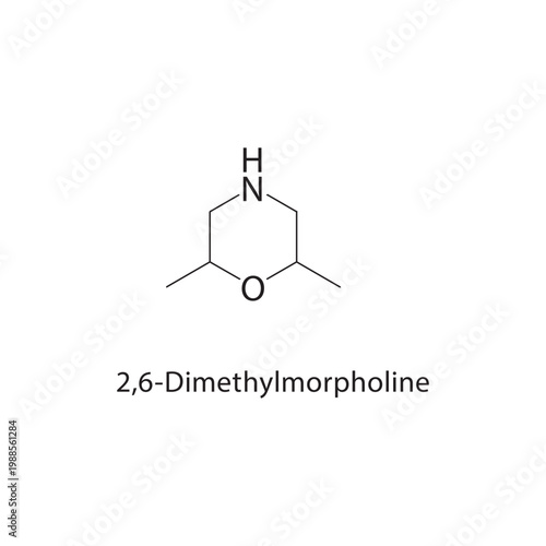 2,6-Dimethylmorpholine skeletal structure. amine compound schematic illustration. Simple diagram, chemical formula.