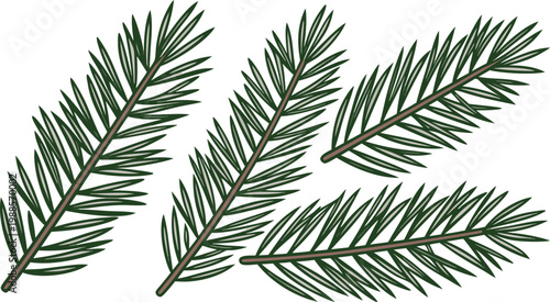 Black and white of pine tree branches with detailed needles