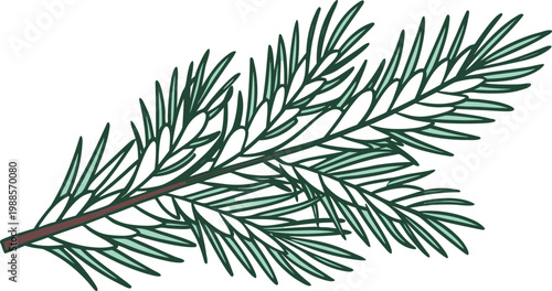 Black and white of snow-covered pine tree branches in winter