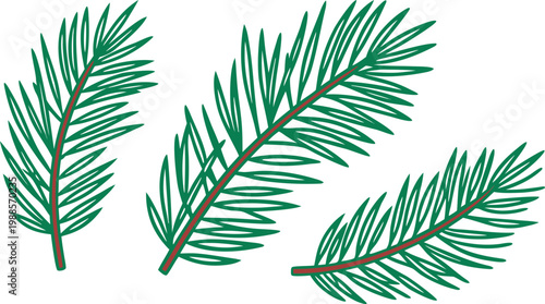 Set of flat style pine branch in green pine needles