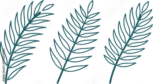Fotografija Minimal green pine branch line set pine needle pine tree