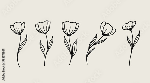 Set of beautiful flowers in outline.