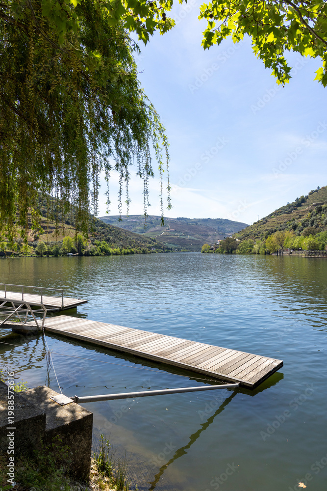 Fototapeta premium Douro river valley landscape with a wooden pier