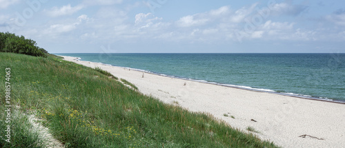Tableau sur toile panorama of the Baltic Sea in the suburbs of Zelenogradsk