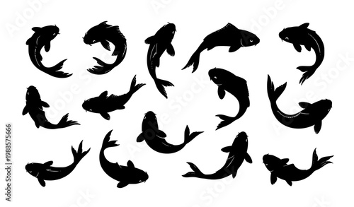 Koi Fish Silhouette Collection Swimming Poses Vector