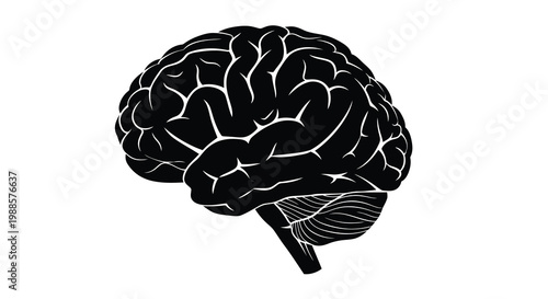 A detailed silhouette of a human brain showcasing its complex folds and structure high quality professional