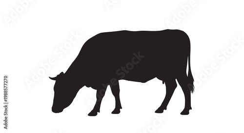 Silhouette of a grazing cow against a plain white background