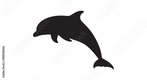 A sleek black silhouette of a dolphin leaping from the water